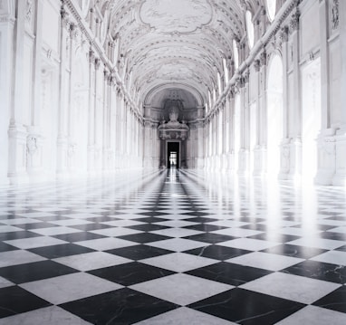 one-point perspective photography of building's interior