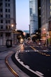person walking on pedestrian lane