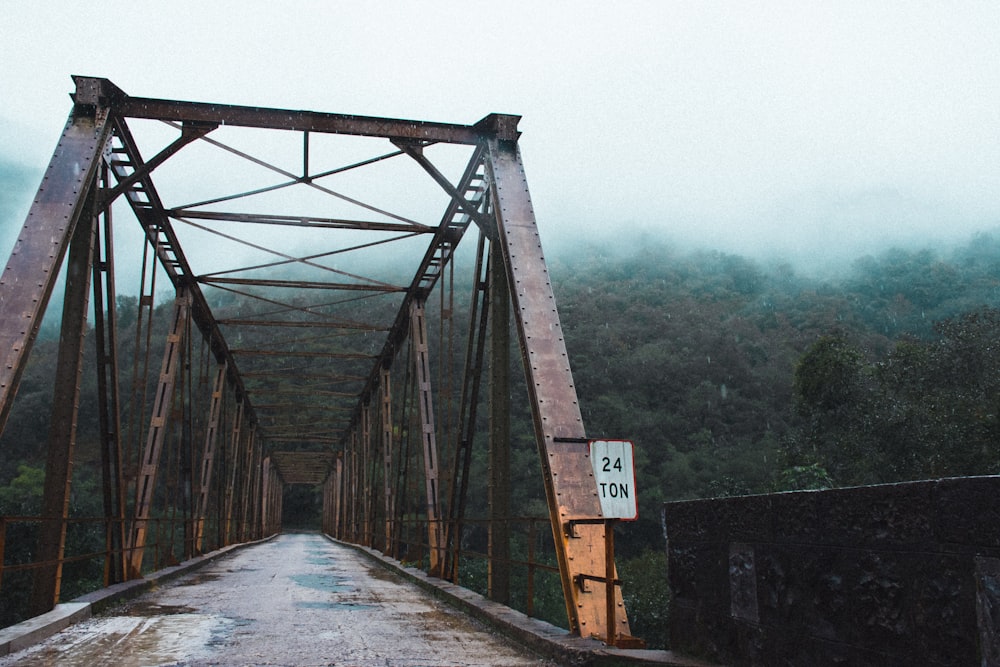 high bridge near green forest covered with fog