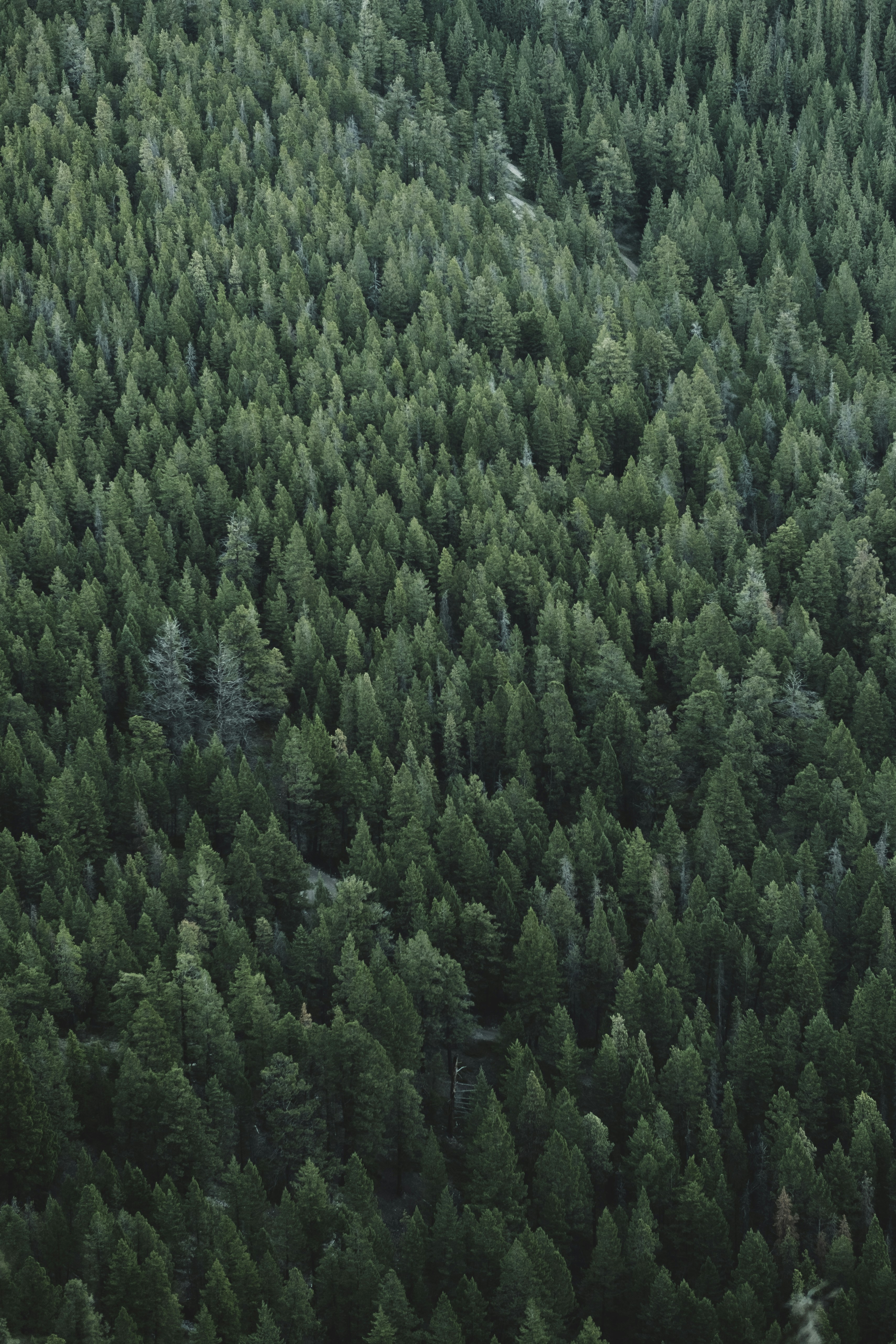 Photo by etienne_beauregard