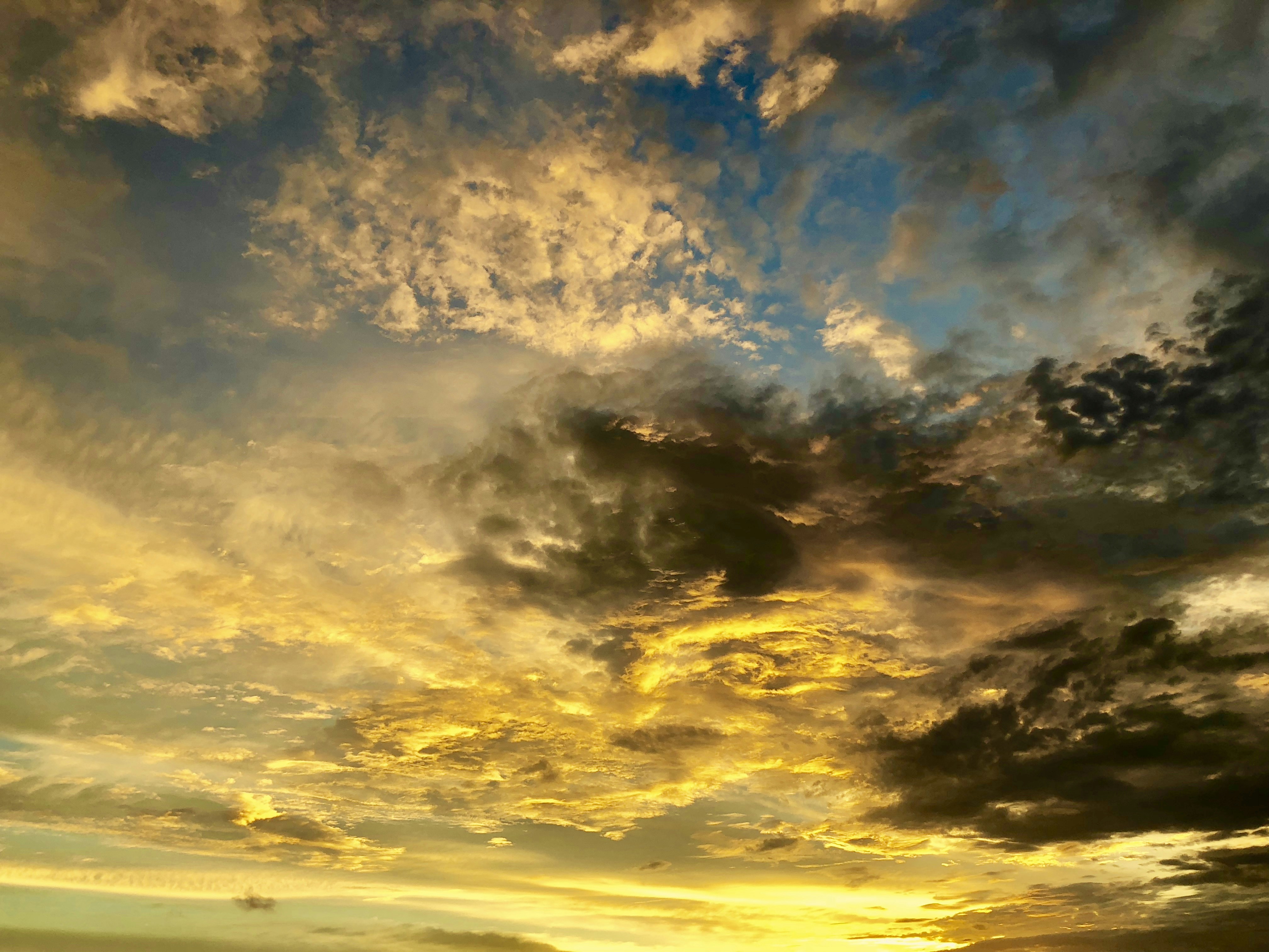 海洋天堂，海洋天堂演员表