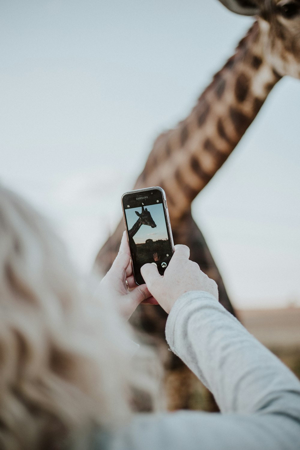 Person, die ein Smartphone in der Hand hält