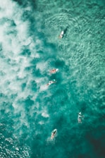 bird's eye photography of people surfing