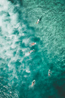 bird's eye photography of people surfing
