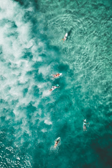 bird's eye photography of people surfing