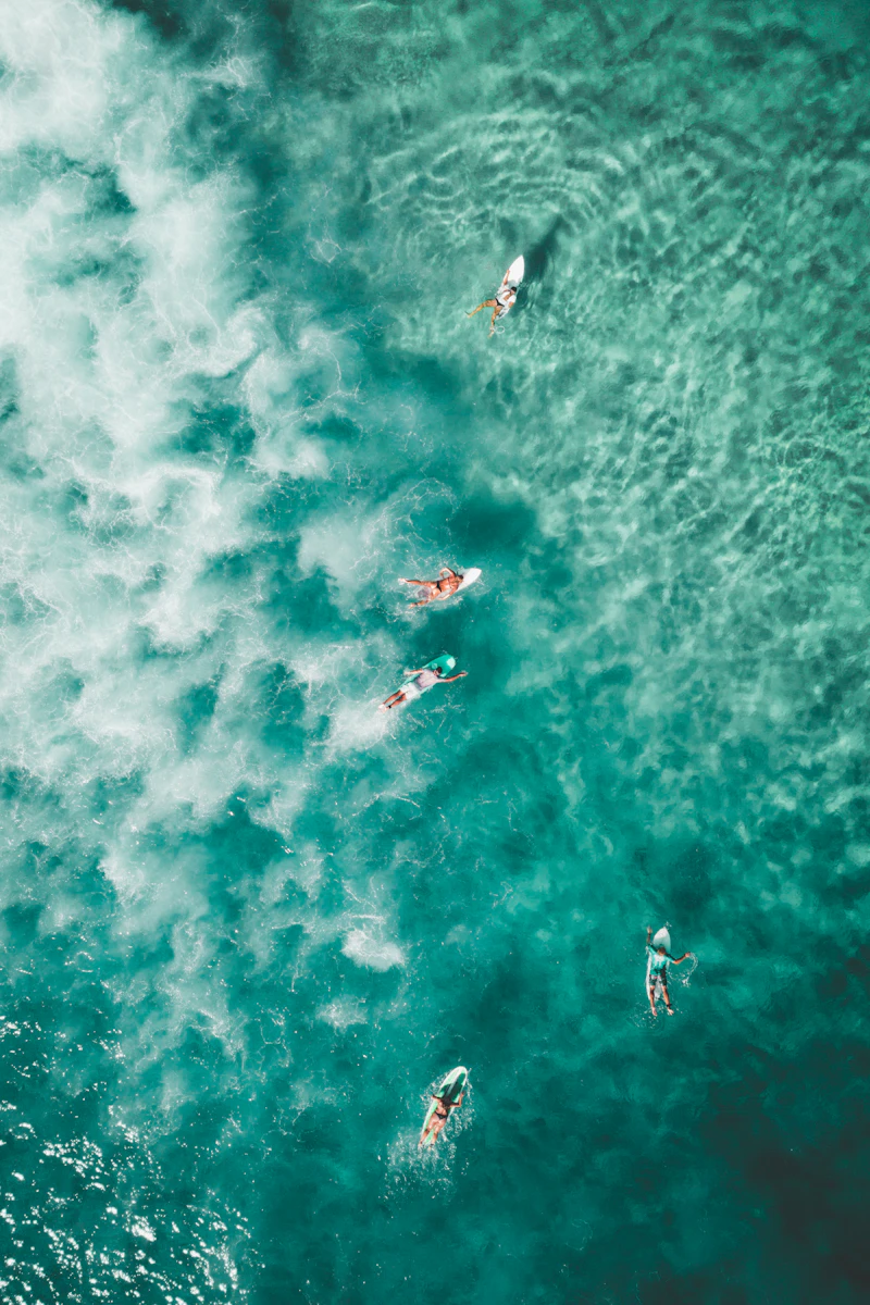 Aerial shot of people surfing at Bondi Beach