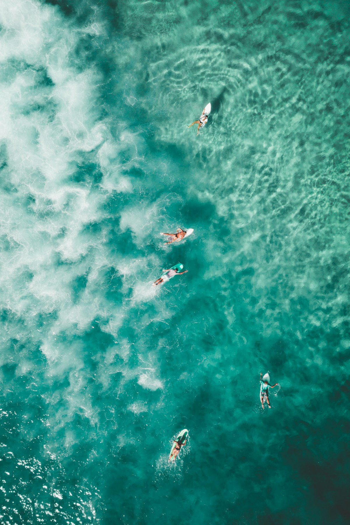 Aerial view of surfers at Bondi Beach Sydney