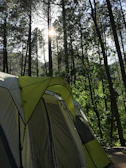 Close-up of a compact Campora tent pitched in a lush forest clearing with morning light filtering through the trees.
