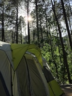 A camping tent pitched in a lush green clearing surrounded by tall trees.