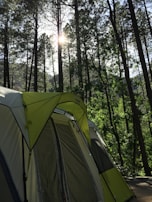 Tents pitched in the camping area surrounded by tall trees and nature.