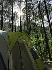 Spacious camping tent pitched in a lush forest with morning light.