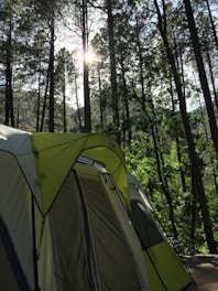 A sturdy camping tent pitched in a forest clearing with camping gear visible around.