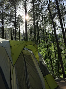 A cozy family tent pitched in a sunlit forest clearing with camping gear around