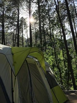 A sturdy camping tent pitched in a forest clearing with camping gear visible around.