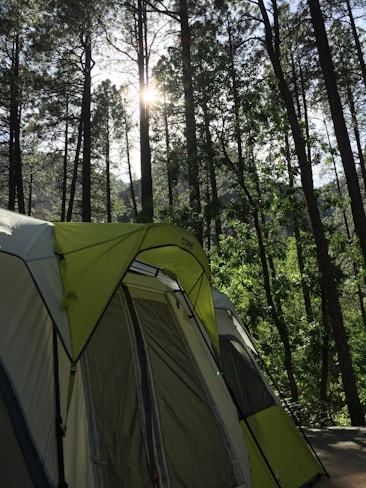 A camping tent is pitched in a densely wooded area with tall trees and abundant greenery. Sunlight filters through the branches, creating dappled patterns on the forest floor and tent.