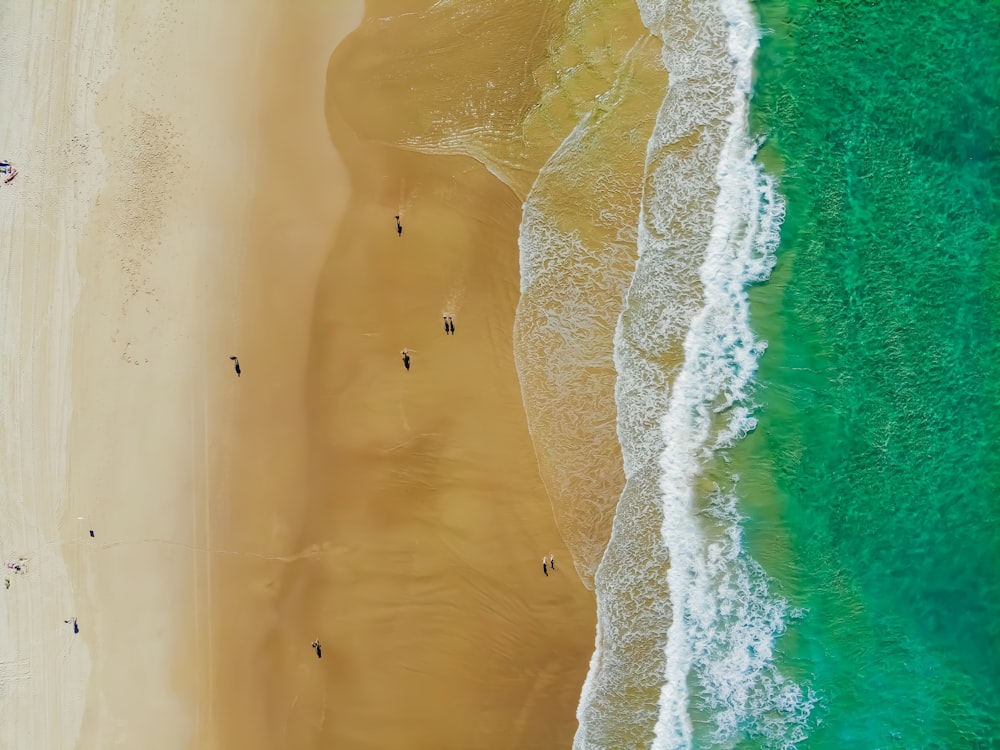 aerial photo of calm body of water