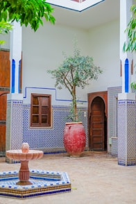 potted green leaf plant placed in front of doorway