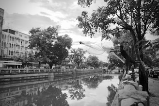 A black and white photograph captures a person casting a fishing net over a river or canal. Trees and buildings line the waterway, and the reflection of the surrounding environment is visible on the water's surface. The scene appears to be in an urban area, with a walkway and parked vehicles visible on one side.