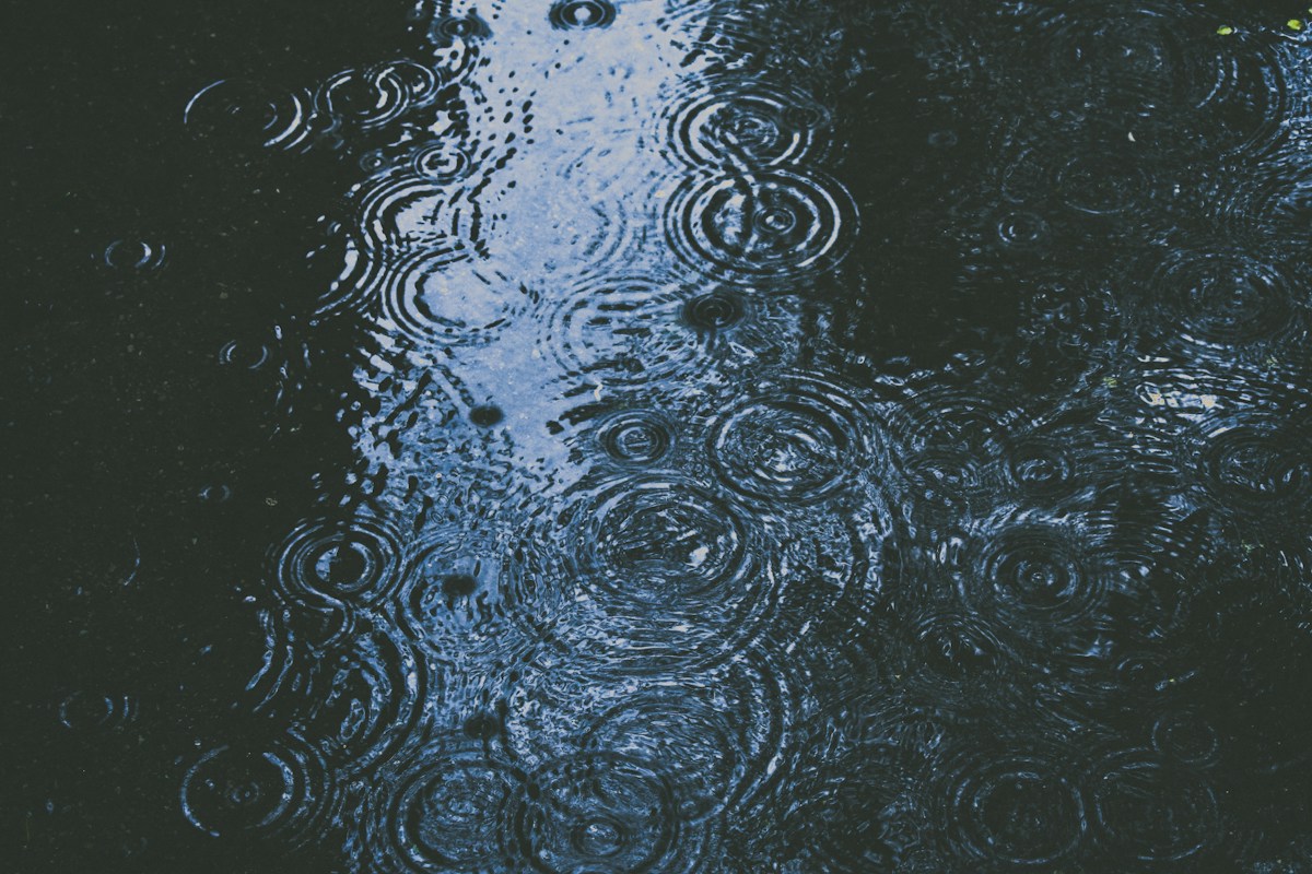 雨！