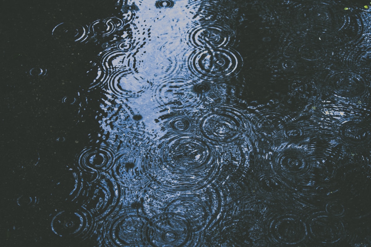 The Sound of Rain