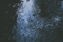 Hunter Valley vineyard NSW