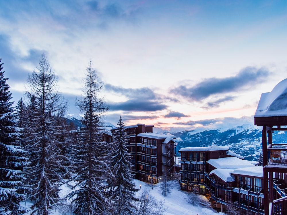 vista dall'alto degli alberi e dell'edificio commerciale coperto di neve