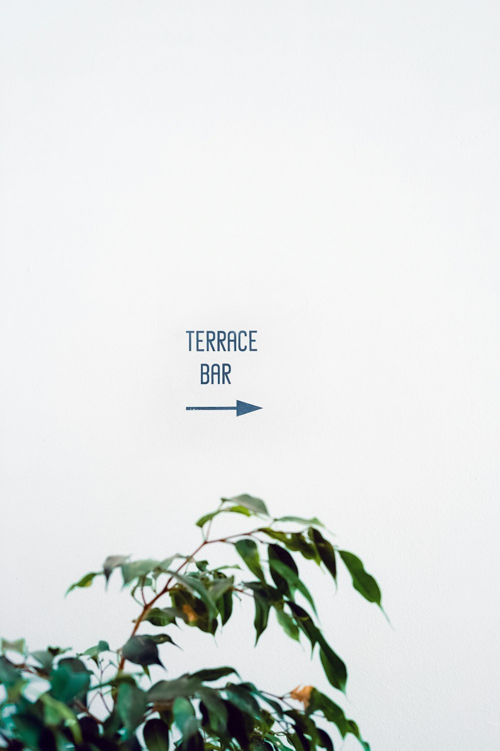 Terrace Bar text