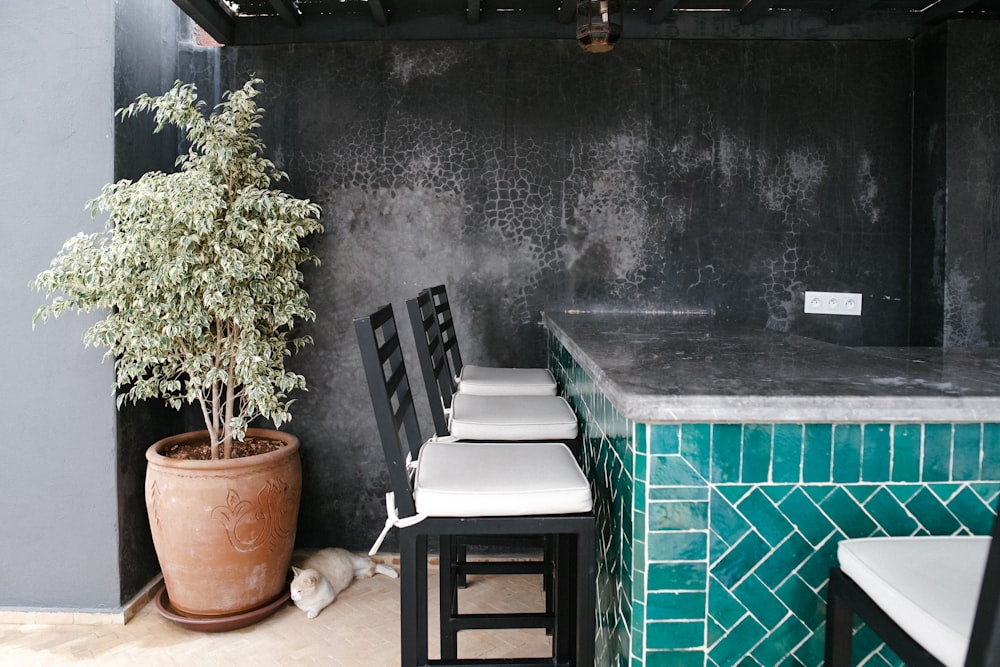 three black-and-white bar stools ahead