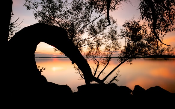 A serene lake landscape captured during sunset, with vibrant colors reflected on the water. Silhouettes of trees and branches frame the image, creating an arch-like shape. The sky is painted in soft pinks and oranges, gradually fading into blue tones.