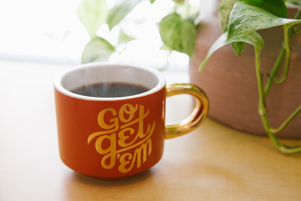 Taza de cerámica naranja y blanca cerca de la planta de hoja verde con maceta marrón