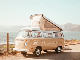 brown Volkswagen T1 van near body of water at daytime