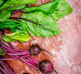 focus photo of green vegetable