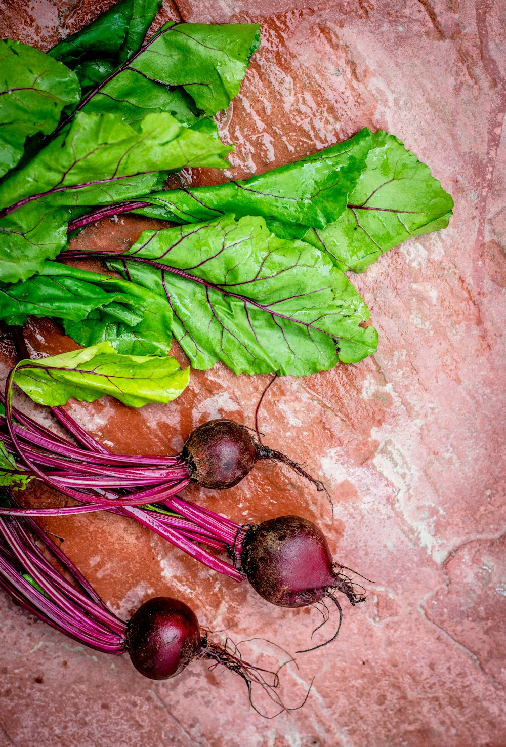 focus photo of green vegetable