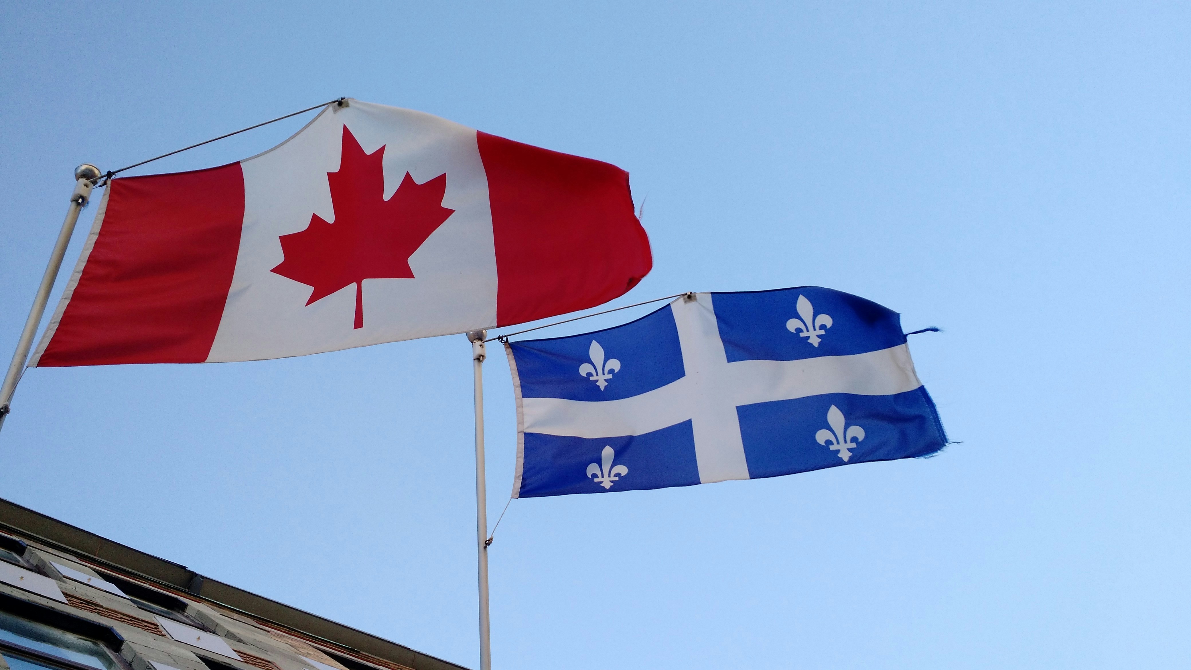 شروط زواج الأجانب في كندا وفق القوانين الحديثة لعام 2025