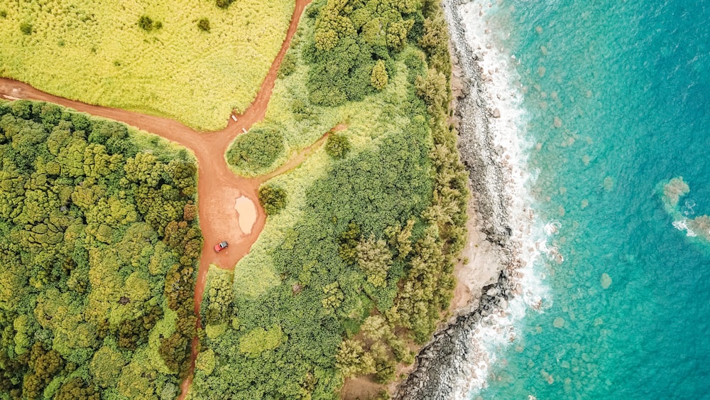 aerial photography of island