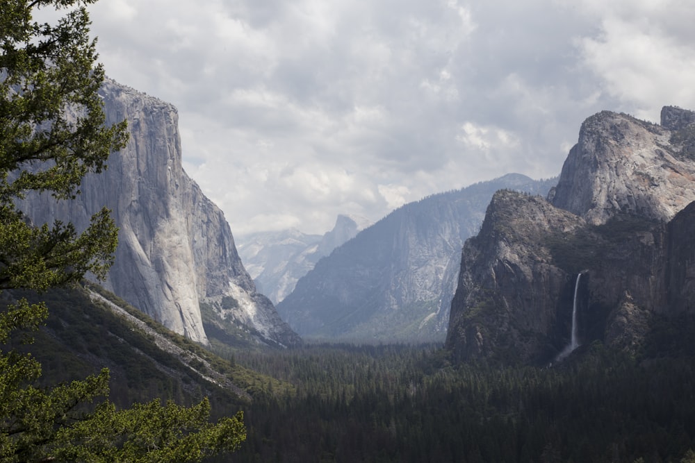 green tree lot surrounded by brown mountains