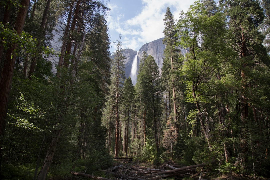 See the Yosemite Falls