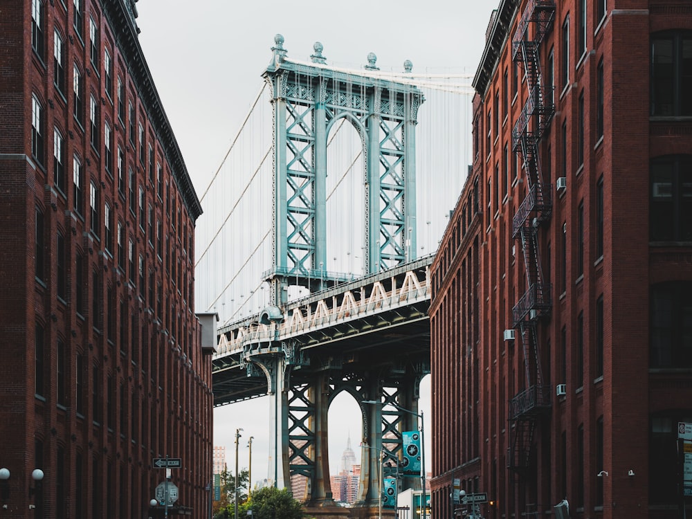 gray metal bridge under clear sky