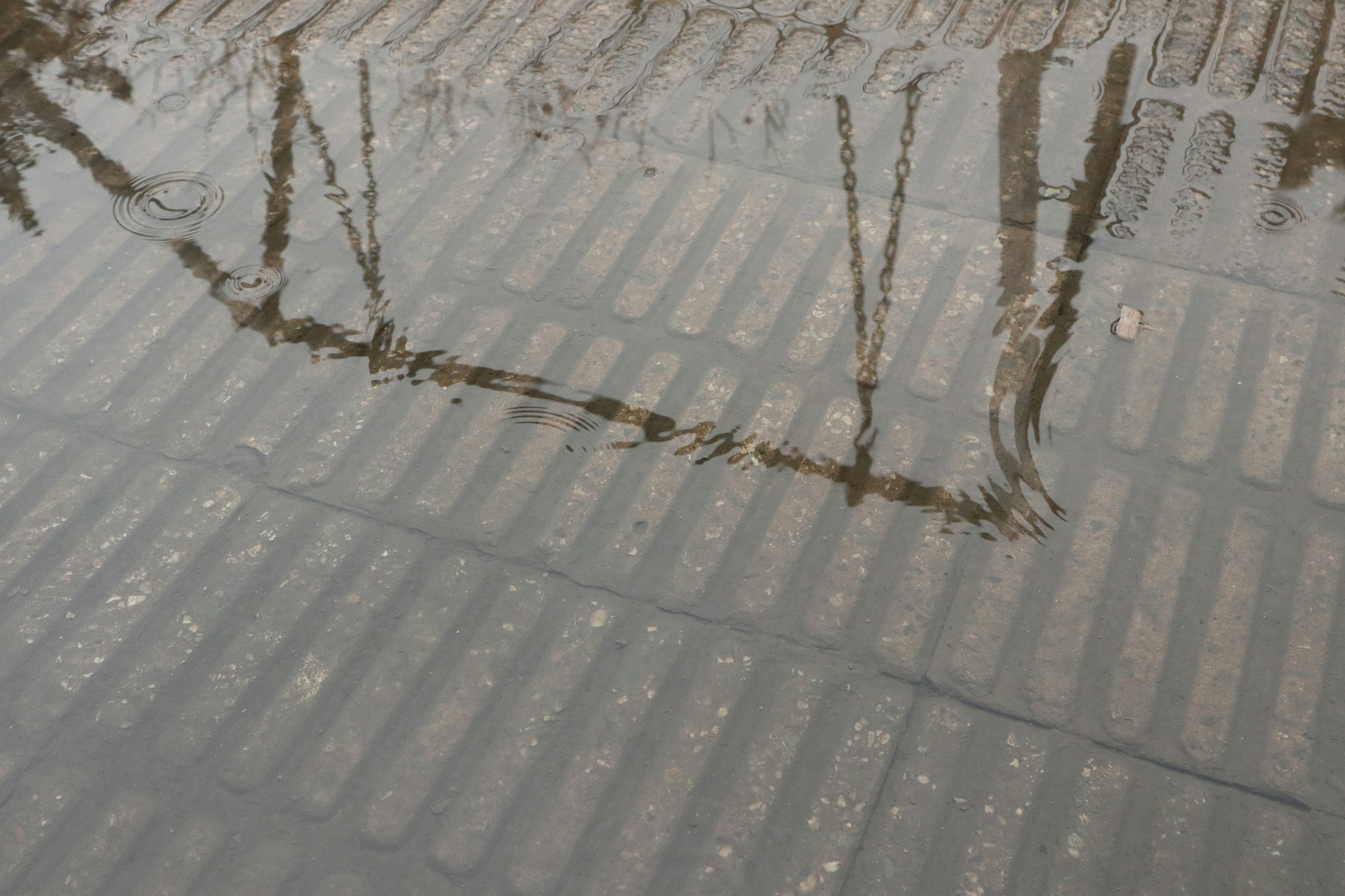 Swing In The Rain Hd Photo By Amin Hosseinzadeh Fardnia