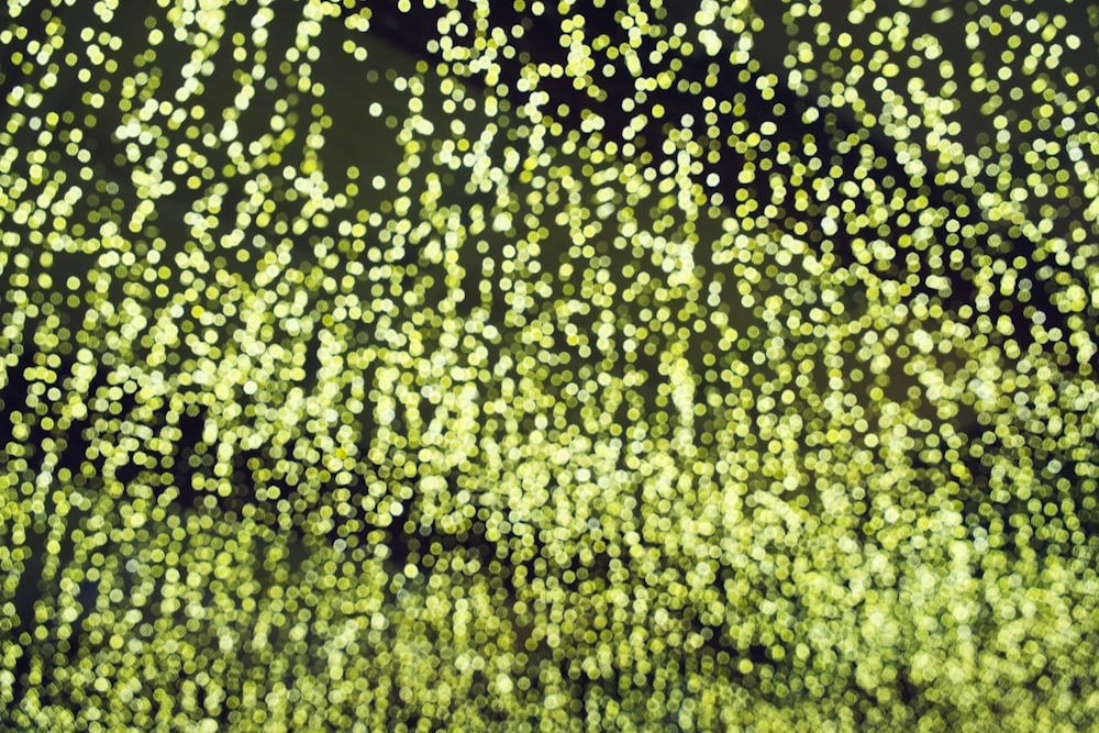 green bokeh wallpaper