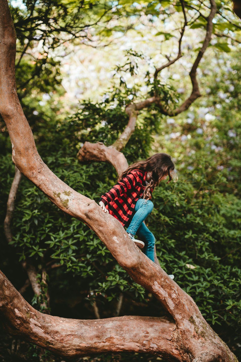 woman in red and black checkered top sitting on tree branch during daytime