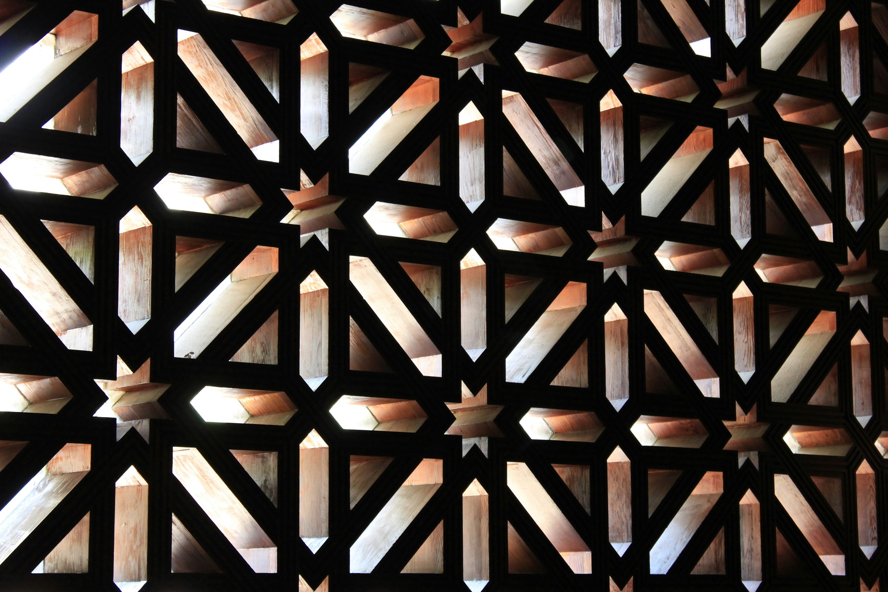 Photography by Daniel Lombraña