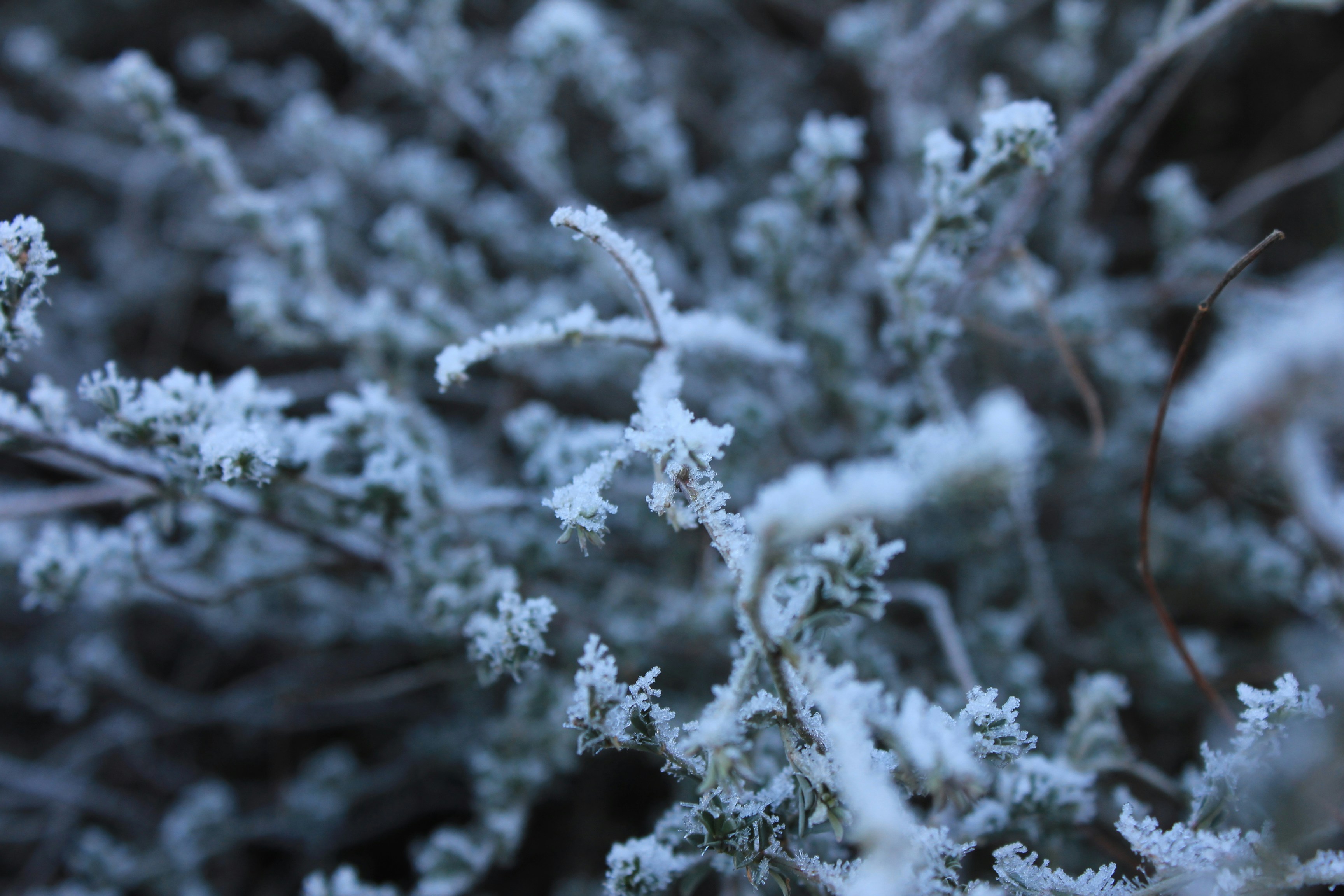 Photography by Daniel Lombraña