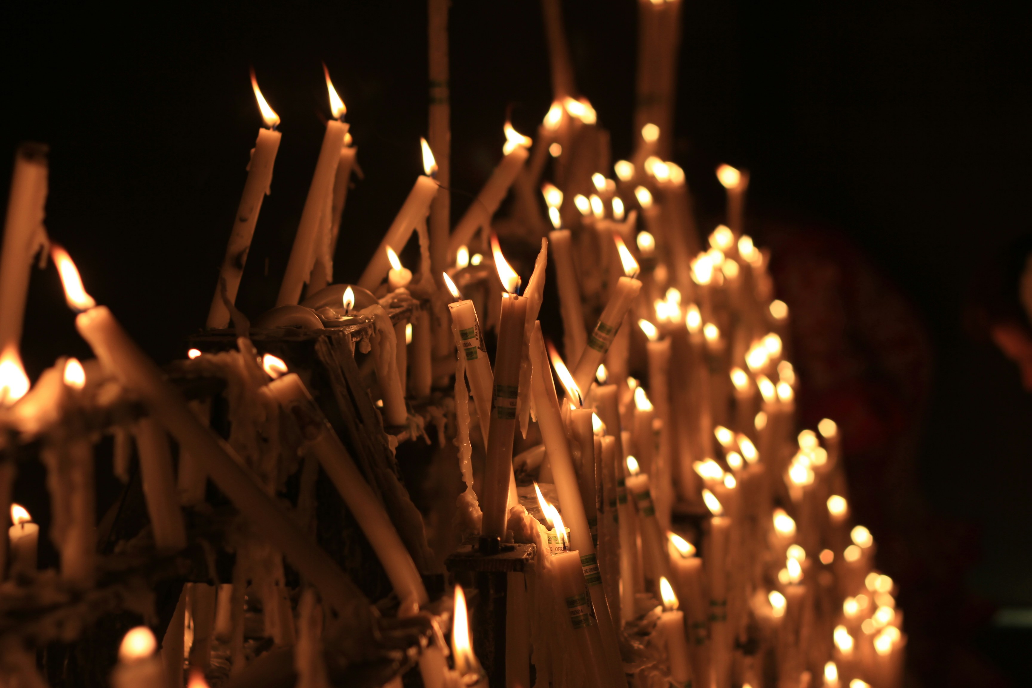 Photography by Daniel Lombraña