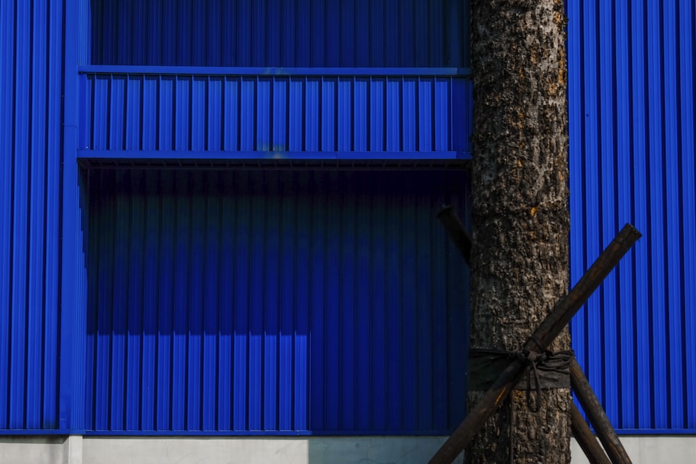 brown tree trunk near blue wall