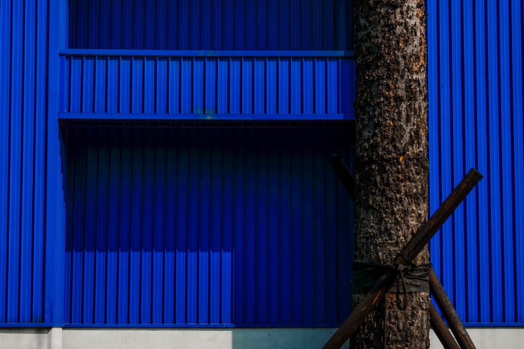 brown tree trunk near blue wall