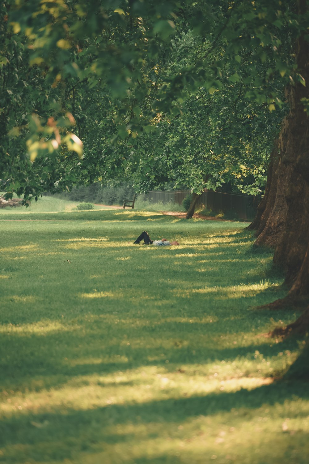 person lying on grass