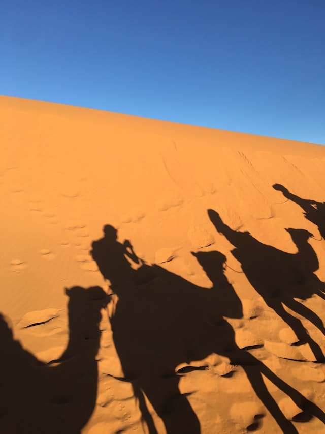 Camel caravan crossing desert dunes at dusk — scott dukette on Unsplash