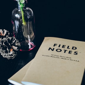 Field Notes books