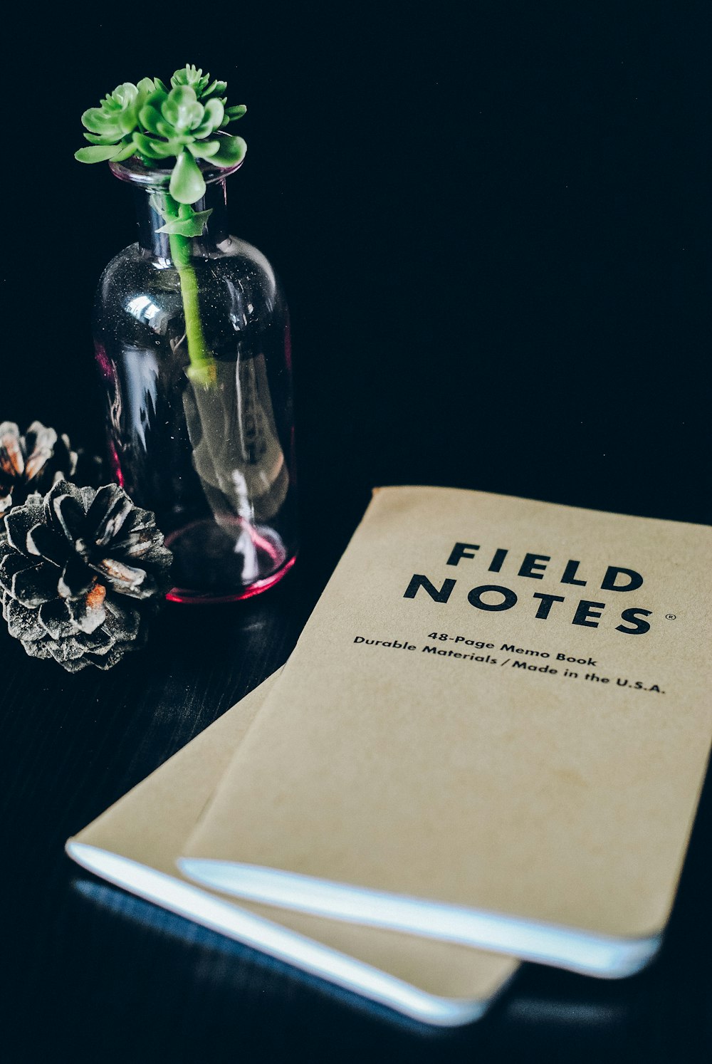 Field Notes books